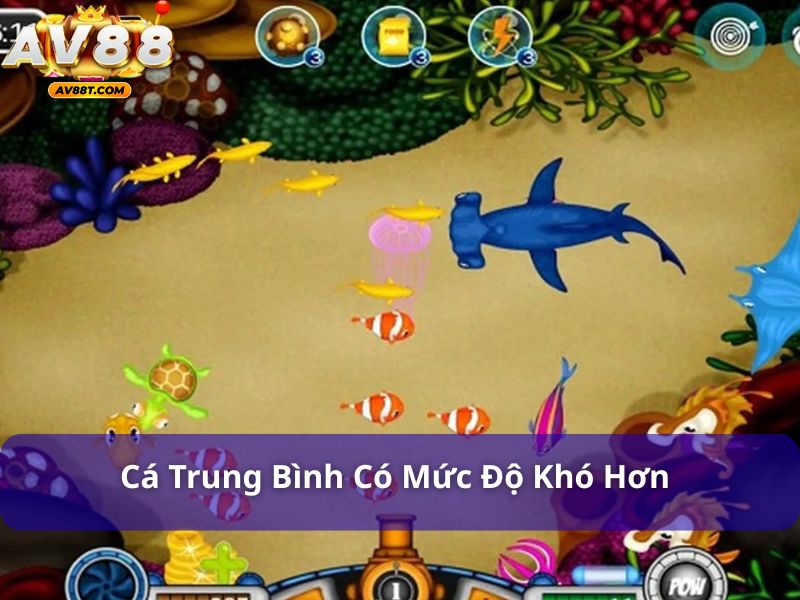 Cá trung bình có mức độ khó nhắm bắn cao hơn cá nhỏ