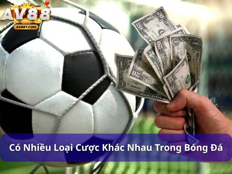 Có rất nhiều loại cược khác nhau trong bóng đá