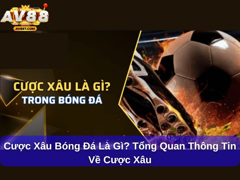 Cược xâu bóng đá là gì? Tổng quan thông tin về cược xâu