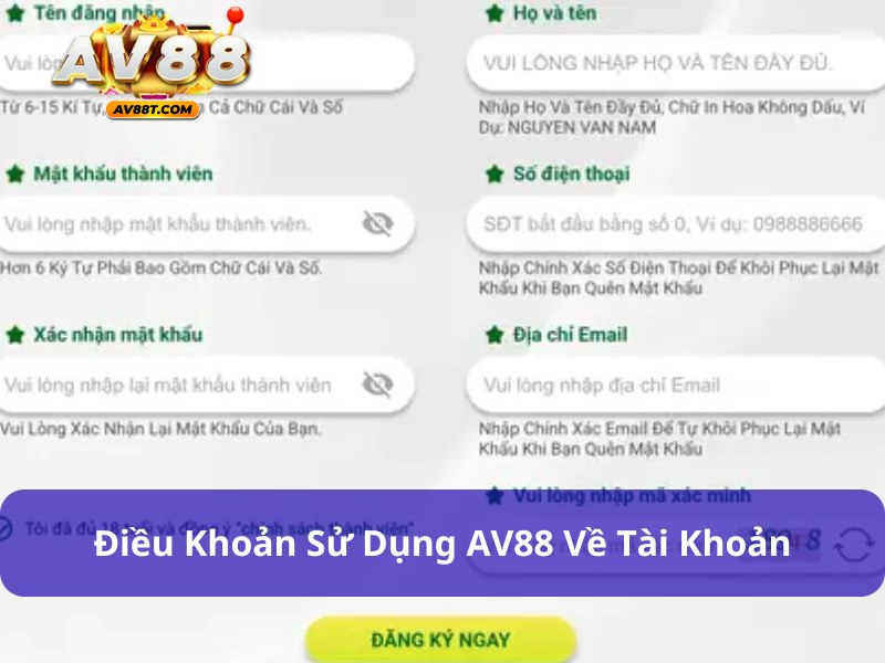 Điều khoản sử dụng liên quan đến tài khoản AV88