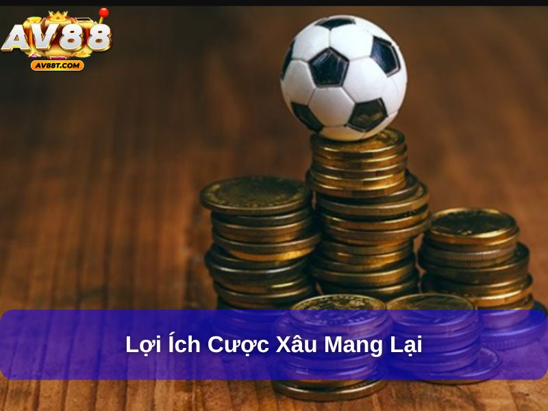 Lợi ích cược xâu mang lại