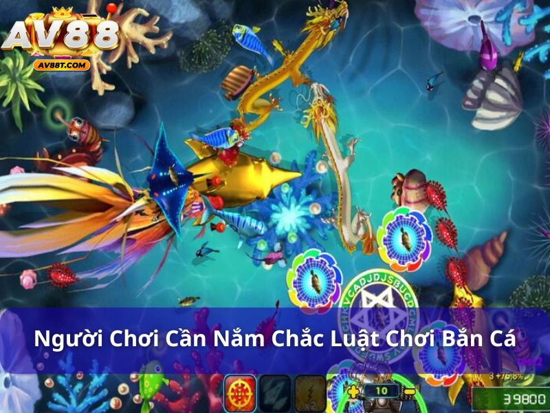 Quy tắc cơ bản khi chơi bắn cá là gì? Hướng dẫn chi tiết Người chơi cần nắm chắc luật chơi bắn cá