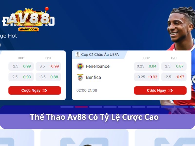 Những môn thể thao đều có tỷ lệ cược cao