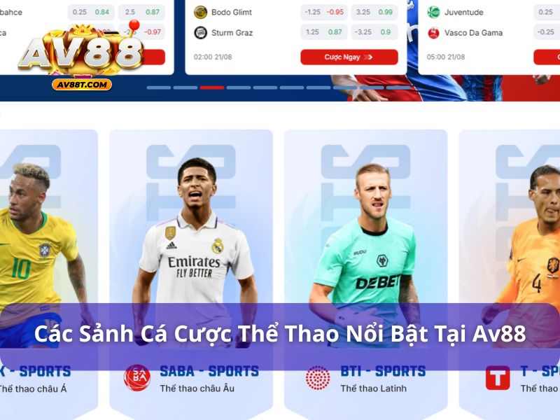 Thể thao AV88 hợp tác với nhiều sảnh game uy tín